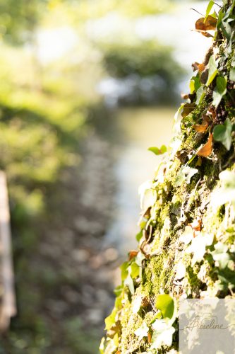 FamilleGoyvannier-182